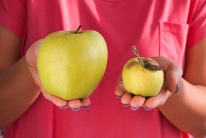Ein großer und ein kleiner gelber, fauliger Apfel  werden von einer Person im roten T-Shirt gehalten
